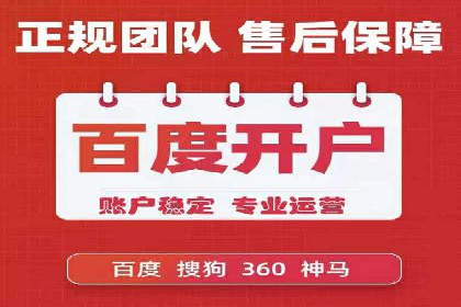 SEM服务在本地化营销中的应用案例